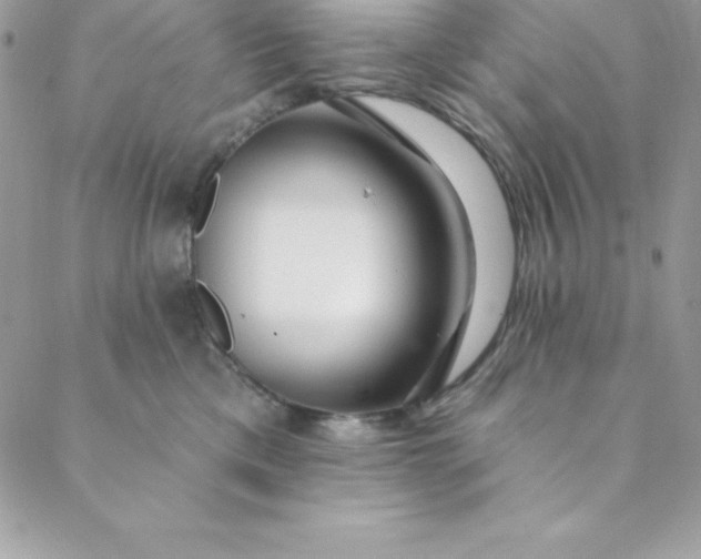 X0000088750425200706141733