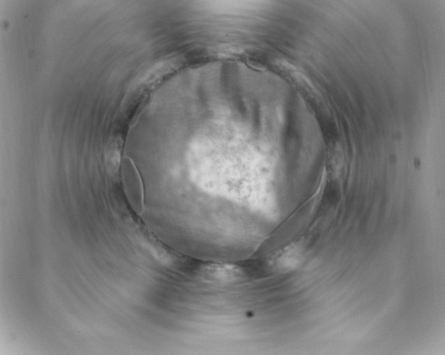 X0000088750427200706141733