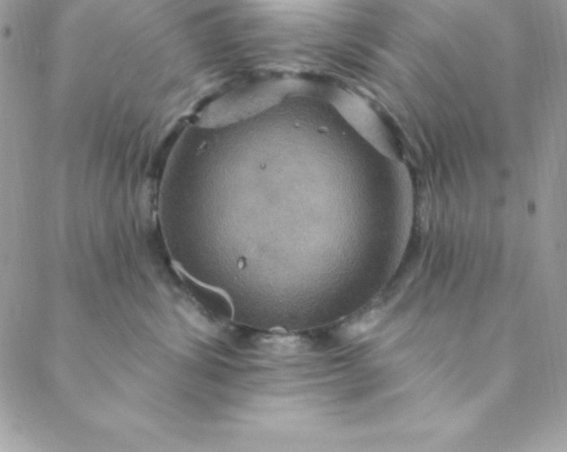 X0000088750428200706141733