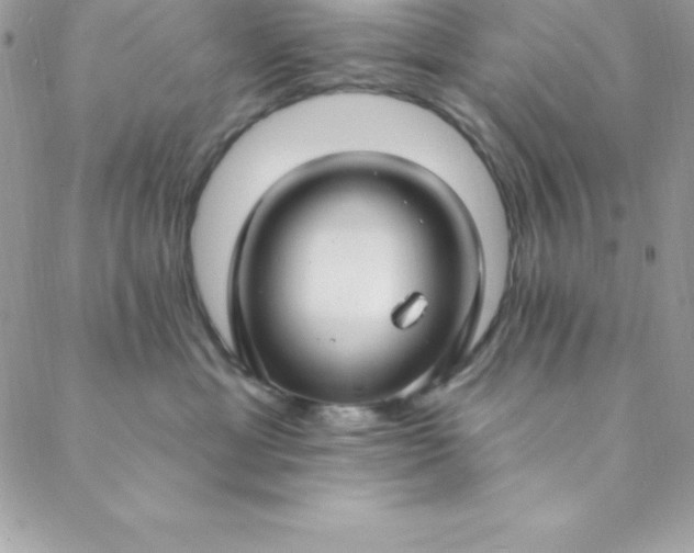 X0000088750429200706141733