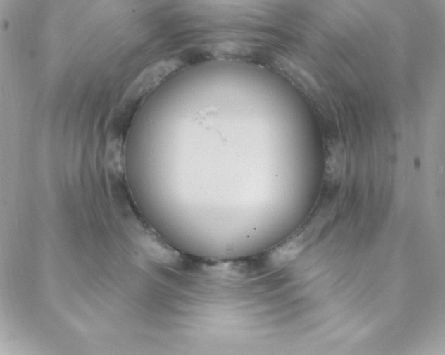 X0000088750430200706141733