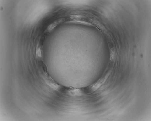 X0000088750431200706141733