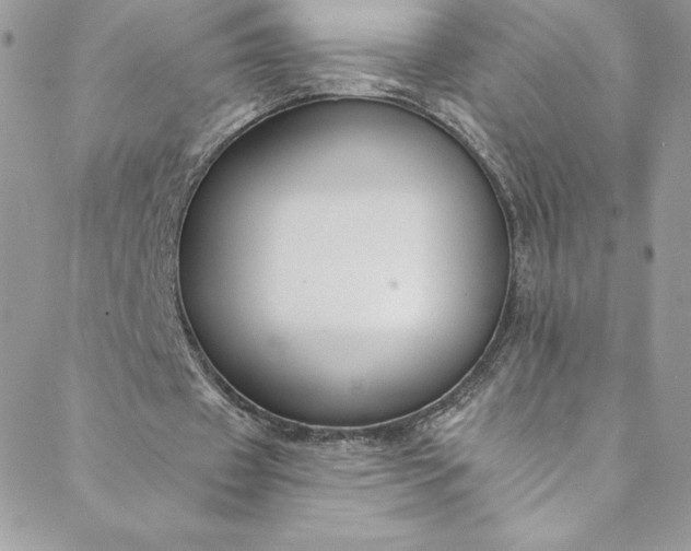 X0000088750433200706141732