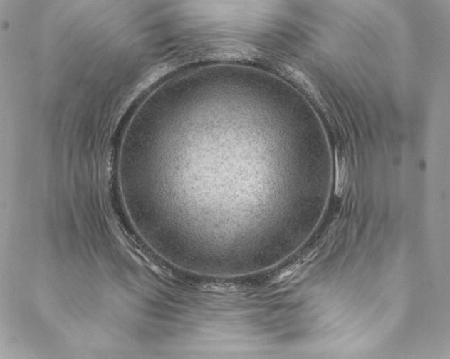 X0000088750435200706141732