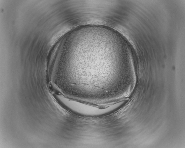 X0000088750437200706141732