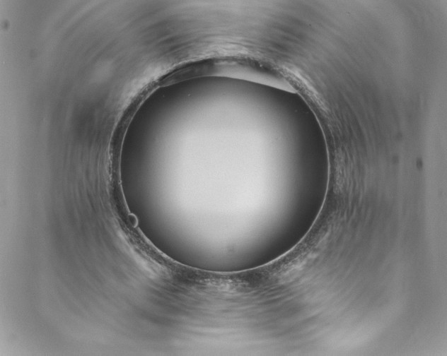 X0000088750439200706141732