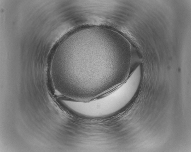 X0000088750440200706141732