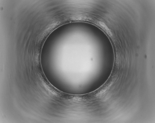 X0000088750441200706141732