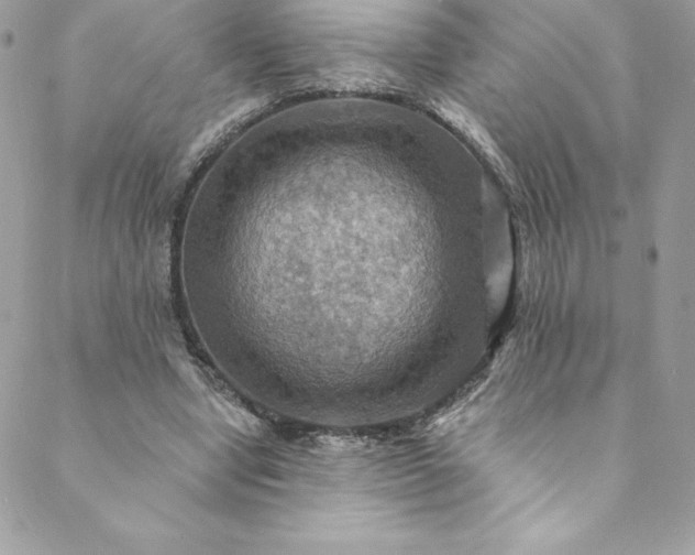 X0000088750442200706141732