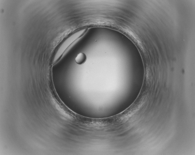 X0000088750445200706141732