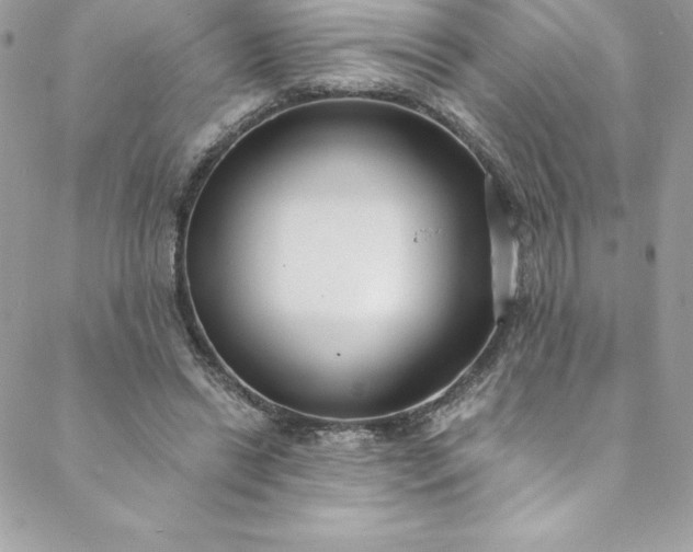 X0000088750446200706141732