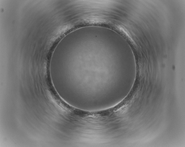 X0000088750447200706141732