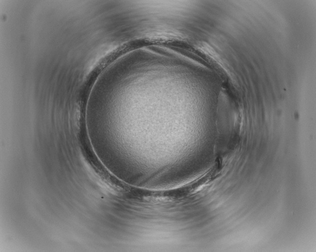 X0000088750448200706141732