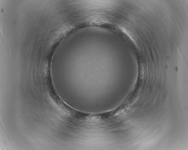 X0000088750451200706141732