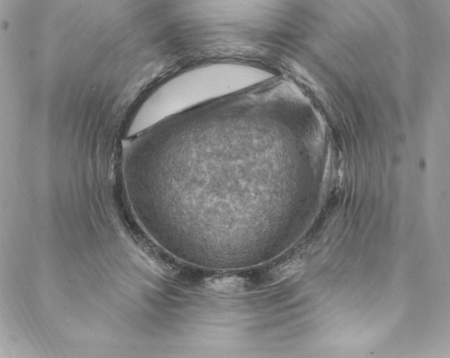 X0000088750452200706141732