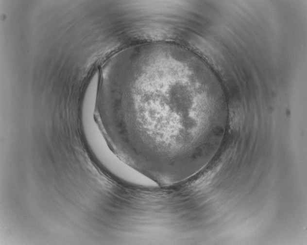 X0000088750453200706141732