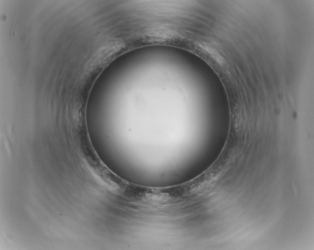 X0000088750455200706141732