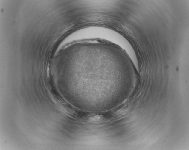 X0000088750456200706141732