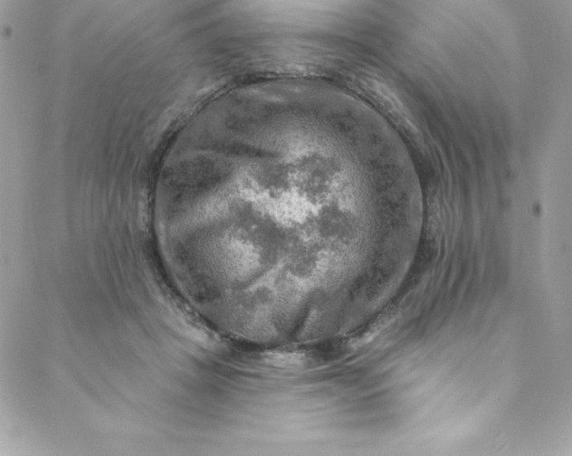 X0000088750457200706141732