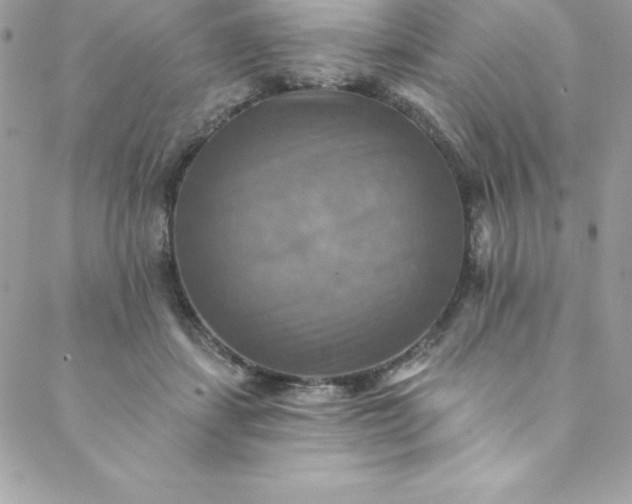 X0000088750459200706141732