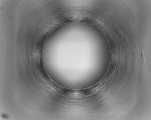 X0000088750460200706141732