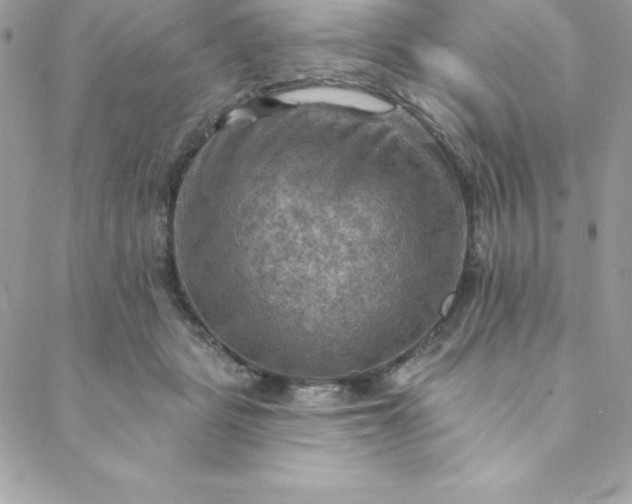 X0000088750461200706141732