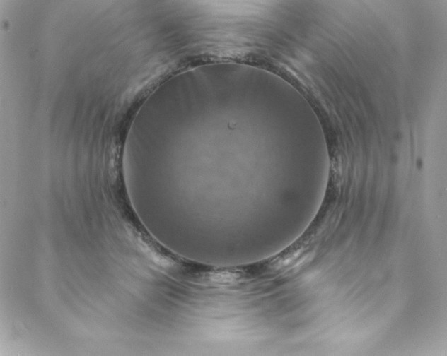 X0000088750462200706141732