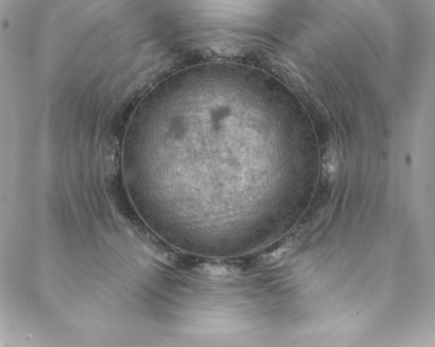 X0000088750464200706141732