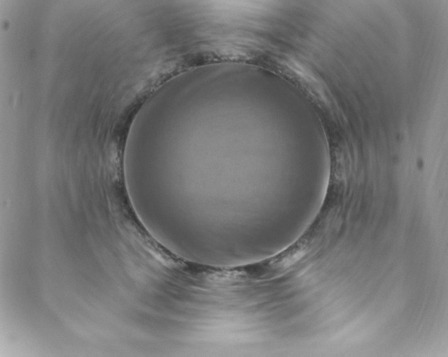 X0000088750465200706141732