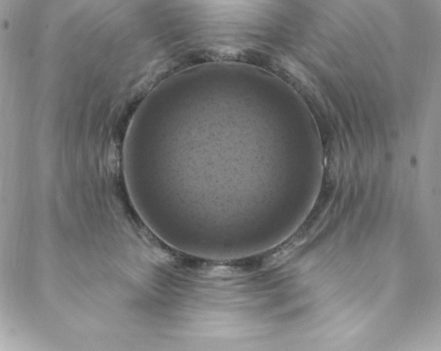 X0000088750467200706141732