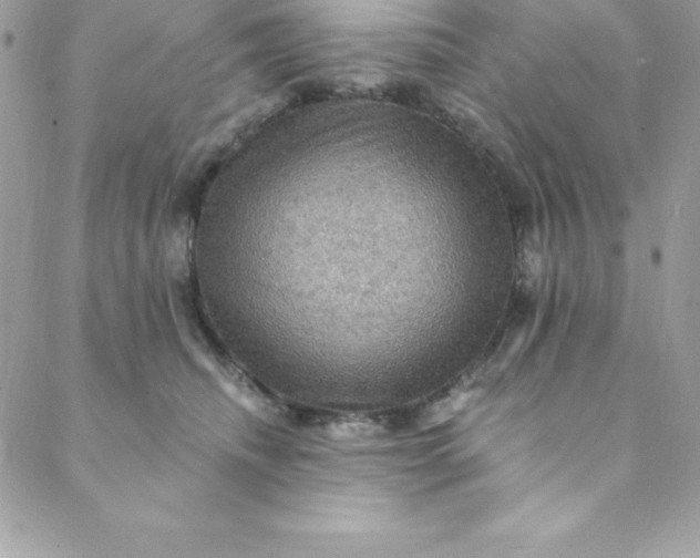 X0000088750468200706141732