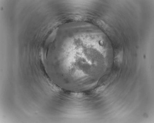 X0000088750469200706141732