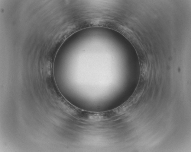 X0000088750470200706141732