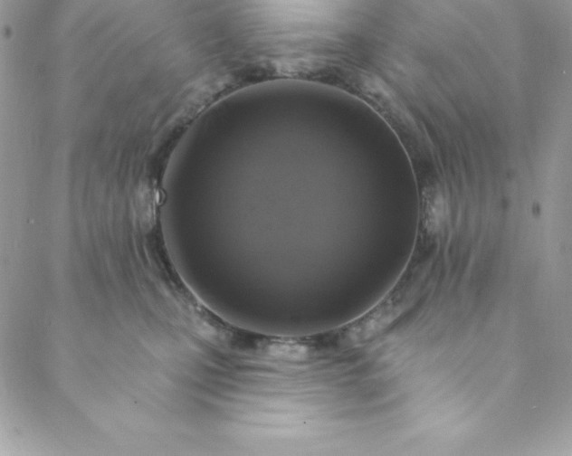 X0000088750471200706141732