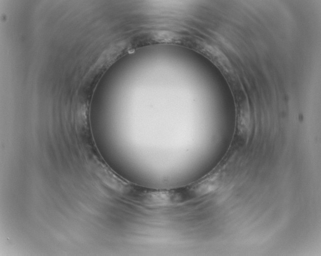 X0000088750473200706141733