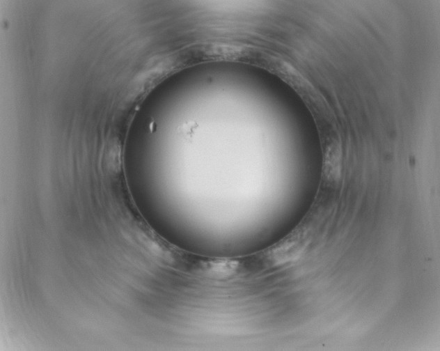 X0000088750474200706141733