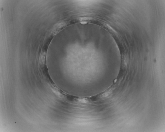 X0000088750475200706141733