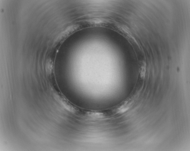 X0000088750476200706141733