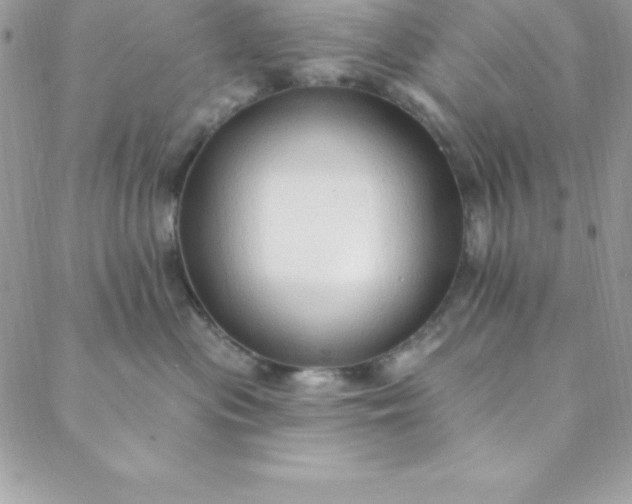 X0000088750477200706141733