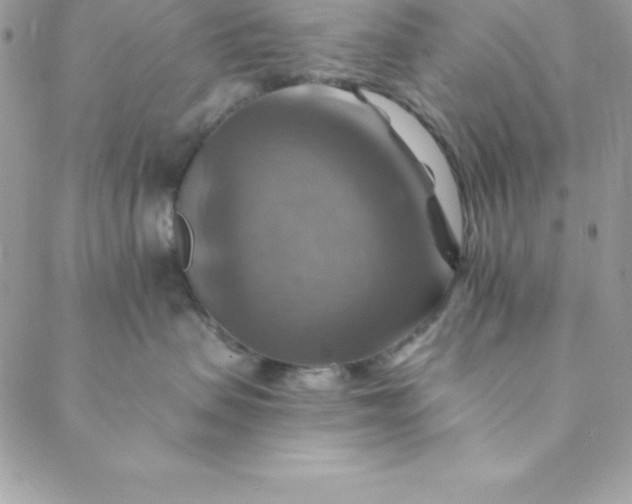 X0000088750479200706141733