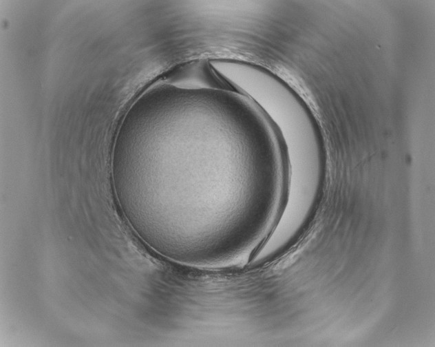 X0000088750481200706141732