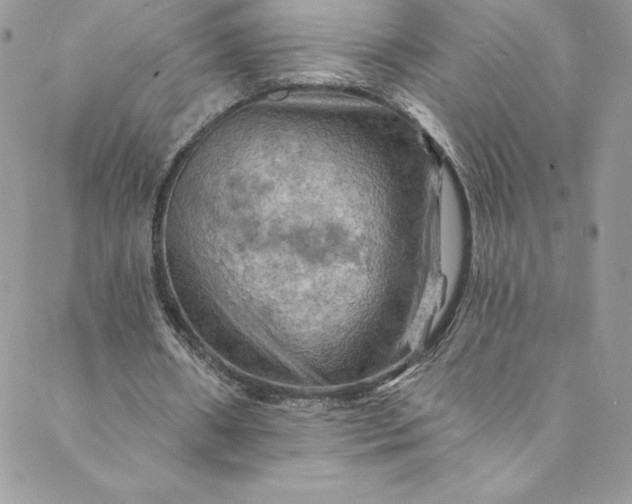 X0000088750482200706141732