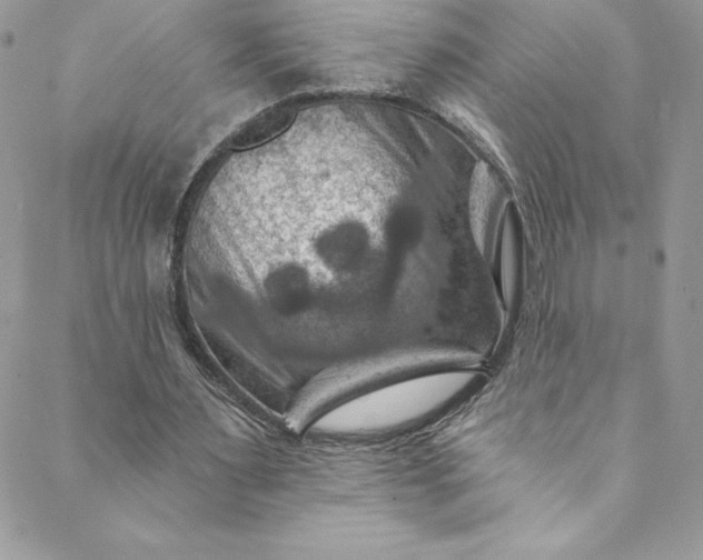 X0000088750483200706141732