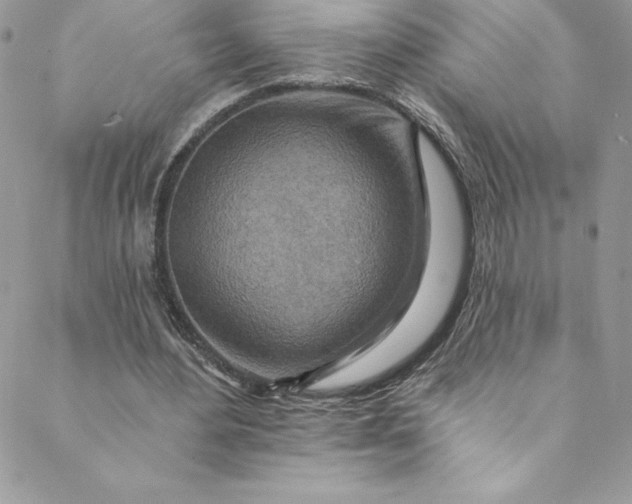 X0000088750484200706141732