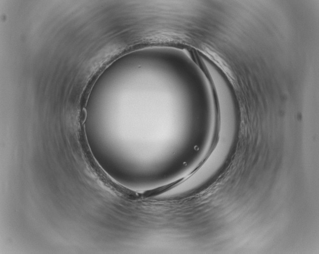 X0000088750485200706141732