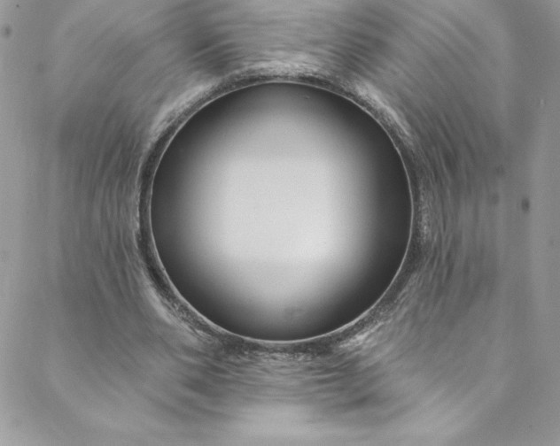 X0000088750486200706141732