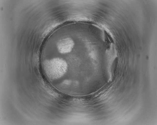 X0000088750487200706141732