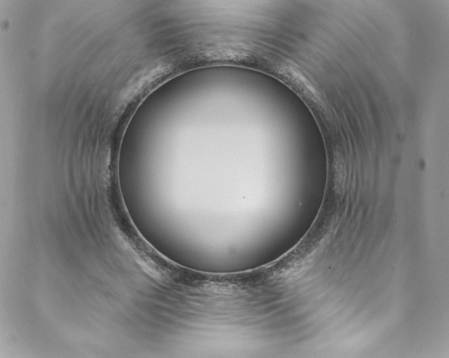 X0000088750490200706141732