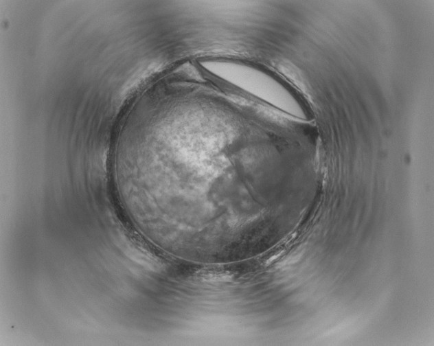 X0000088750491200706141732