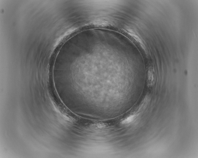 X0000088750492200706141732